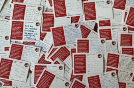 A pile of hundreds of red and white postcards with the message "fight the anti refugee laws" on them